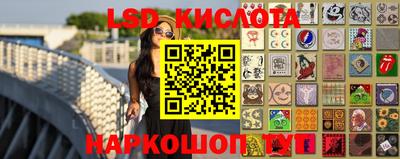 сатива Краснодар