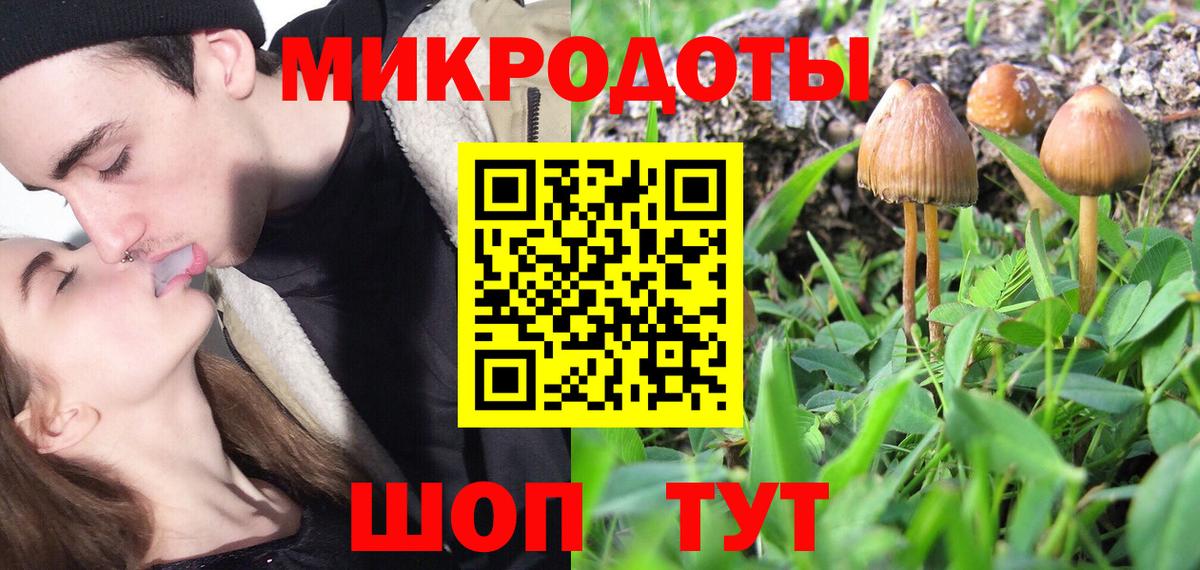 Галлюциногенные грибы Cubensis Губкин